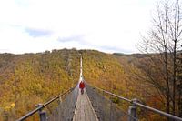 Suspension bridge geierlay