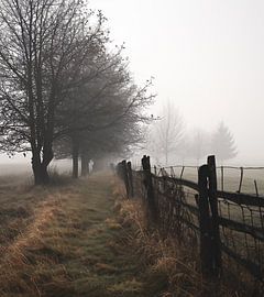 Herbstspaziergang im Nebel