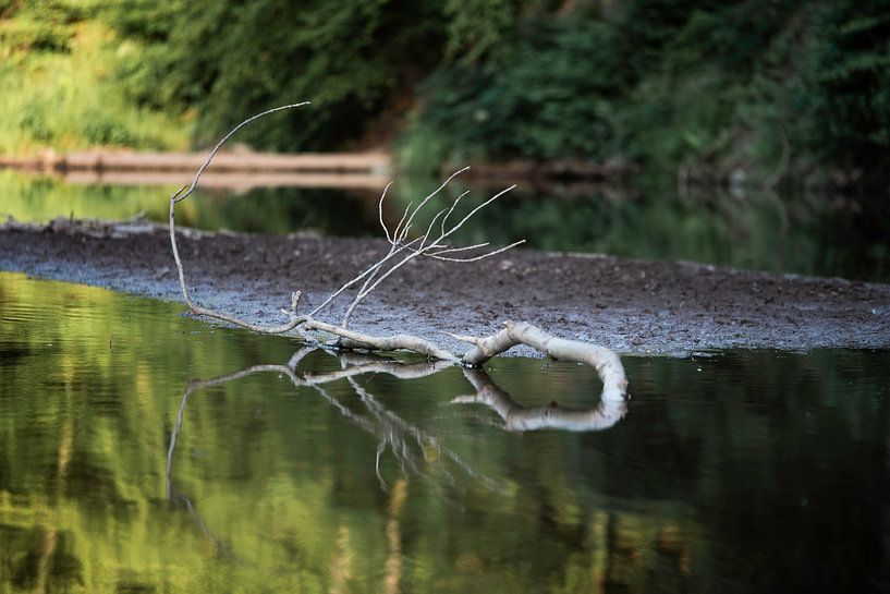 reflet d'une branche dans la rivière par ChrisWillemsen