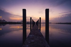 Symmetrische Architektur in der Natur von Ansho Bijlmakers