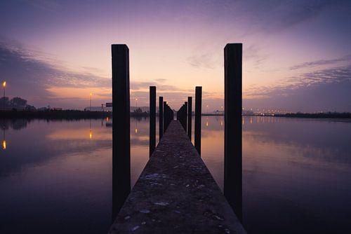 Symmetrical architecture in nature