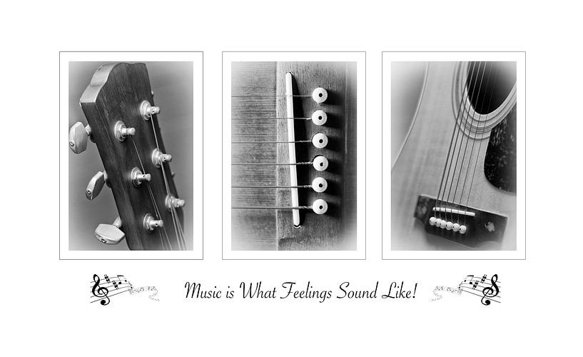 Music is what Feelings sound like by Hans van Gurp