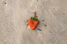 De poëzie van de kleine dingen van Theodor Decker