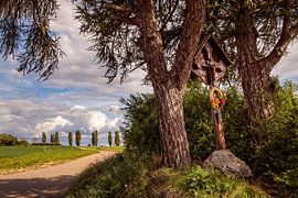 Field cross @ Eyserhalte by Rob Boon