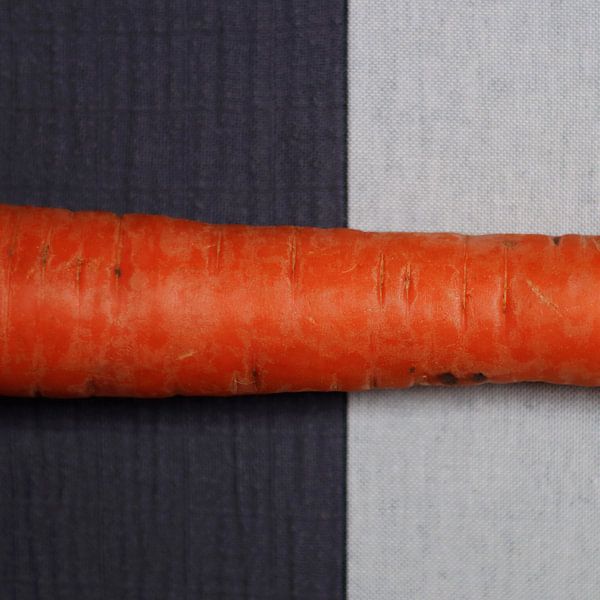 Carrot on taupe and beige by ellenklikt