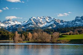 springlike view from the Schwaltenweiher to the mountains by Leo Schindzielorz