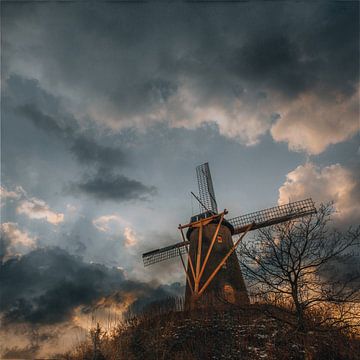 Hollands landschap - Molen De Korenbloem in Ulvenhout