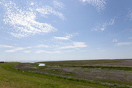 Photos de l'île de Spiekeroog, située en Frise orientale, dans la mer du Nord. sur Bianca Meyering Fotos - BMF