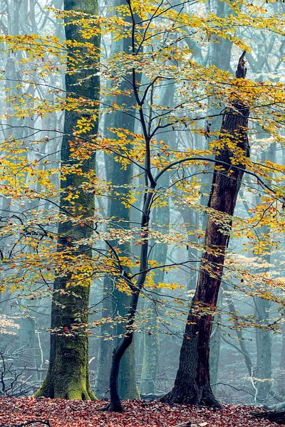 Ich sehe ein anderes Du von Lars van de Goor