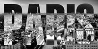 Paris on the Saine