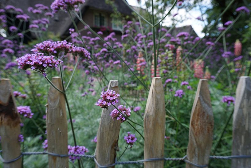 butterfly flowers through the gate by Tom Poppelaars