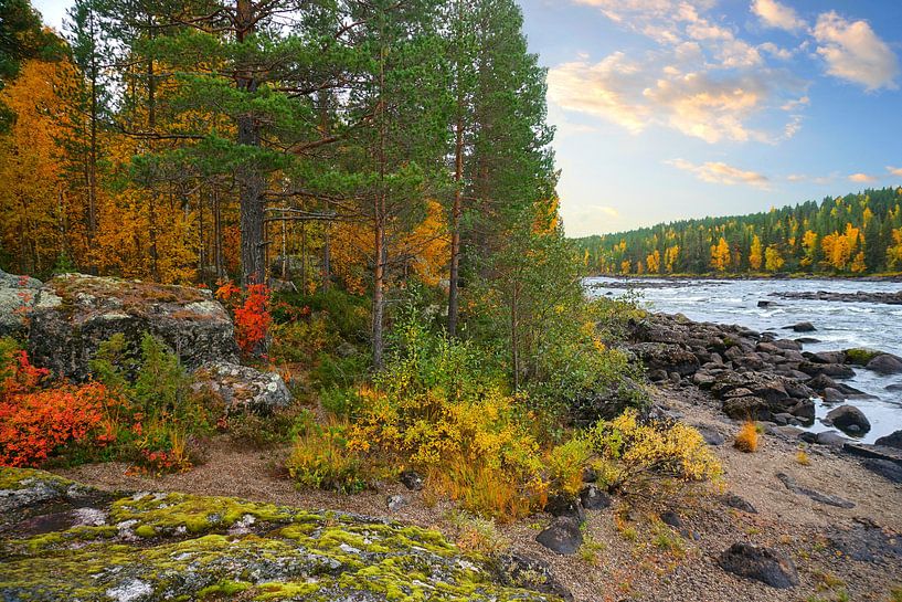 De Zweedse wildernis - Zweeds Lapland van Thomas Zacharias