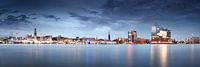 De skyline van Hamburg