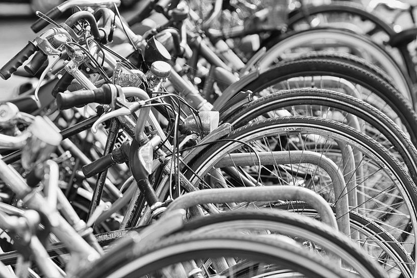 Row of parked bicycles in Amsterdam by Tony Vingerhoets