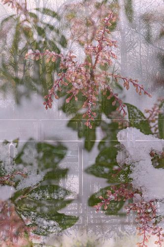 Winterlandschap met een brug en natuur close-up I | Abstracte fotografie