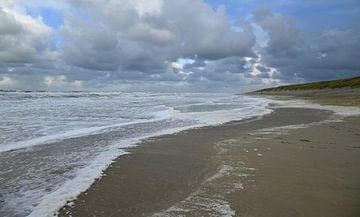 Beach of Texel by Jose Lok