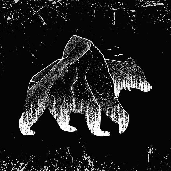 Bär Braunbär Grizzlybär Wald von Felix Brönnimann
