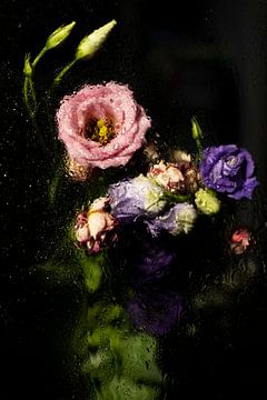 Macro shot d'un bouquet de fleurs avec des gouttes d'eau sur Robrecht Kruft