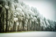 Winterlicher Waldrand abstrakt von Nicc Koch Miniaturansicht