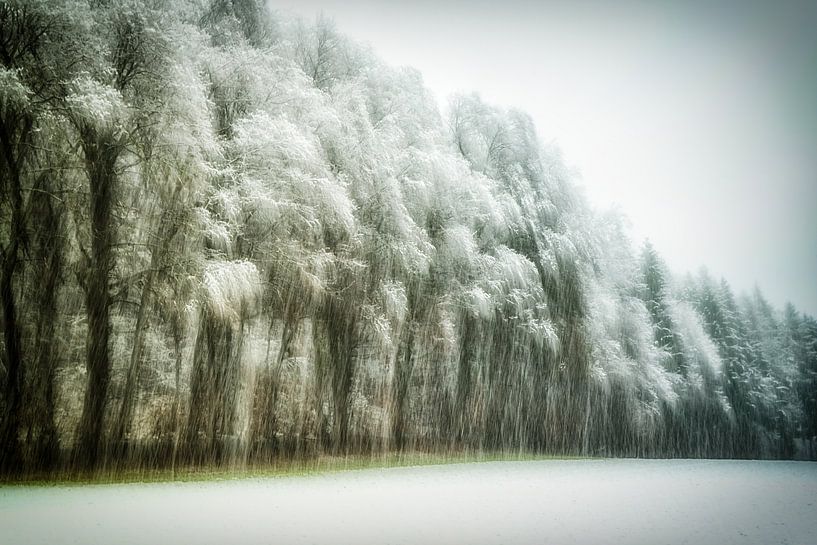 Winterlicher Waldrand abstrakt von Nicc Koch
