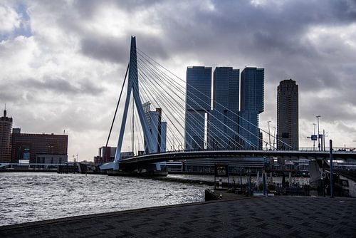 Rotterdam von Leonie Stolk