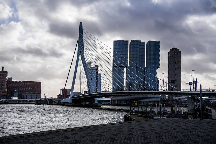 Rotterdam by Leonie Stolk