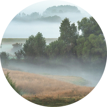 foggy landscape van Danielle de Graaf