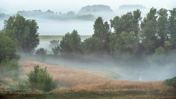 foggy landscape van Danielle de Graaf