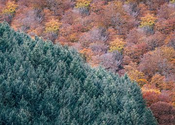 Herst Contrast van Peter Deschepper