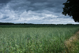 Ciel de soirée menaçant au-dessus des champs de Swalmen sur Vague & Form