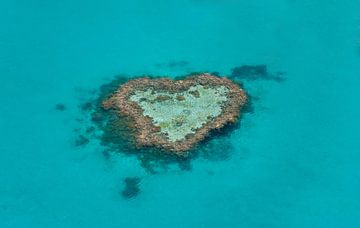 Heart Shaped Reef van Albert van der Spaan
