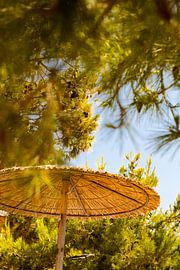 Hello parasol, hello vacation!