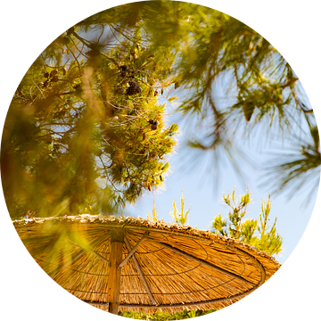 Hallo parasol, hallo vakantie!