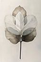 Serene leaf - Japandi style - 2 by Marianne Ottemann - OTTI thumbnail