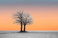 Zonsopkomst bij een winters landschap. van Gert Hilbink thumbnail