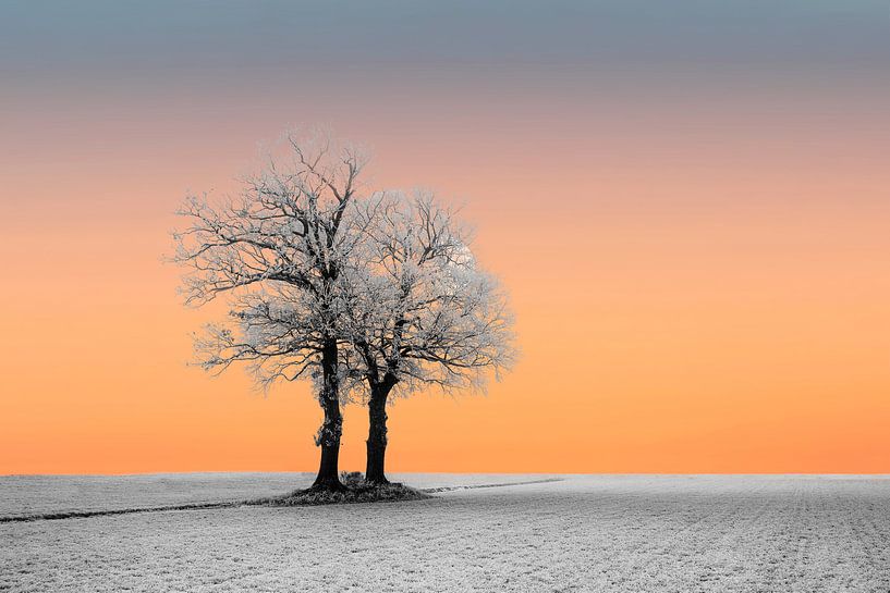 Zonsopkomst bij een winters landschap. van Gert Hilbink