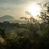 Volcano Gunung Agung from Ubud by Ellis Peeters