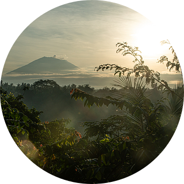 Gunung Agung vanuit Ubud van Ellis Peeters