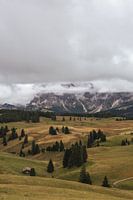 Seiser Alm, Dolomiten