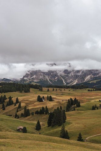 Seiser Alm, Dolomiten