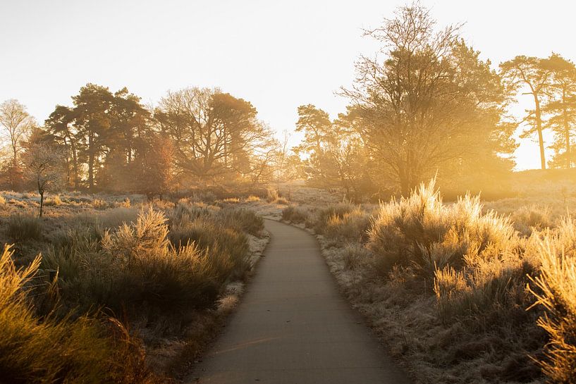 Nationalpark Veluwezoom van Lisa Antoinette Photography