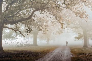 Der Herbst kündigt sich an... von Monica de Jong