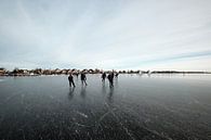 Nieuwkoopse Plassen en hiver avec de la glace par Arie Bon Aperçu