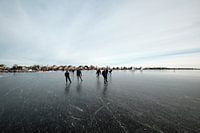 Nieuwkoopse Plassen im Winter mit Eis