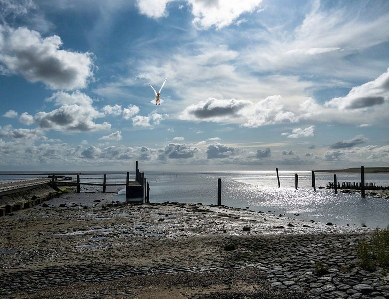 Haventje van Sil , Texel by Lies Bakker