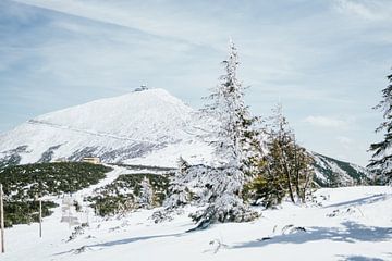 Sniezka Berg von Patrycja Polechonska