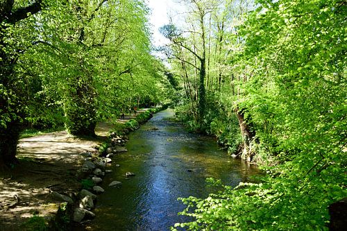 The Deenagh river