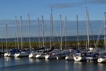 marina in Colijnsplaat on the island of Walcheren in the province of Zeeland, the Netherlands