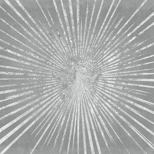 Silver Sunburst I, Wild Apple Portfolio