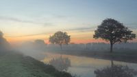 Dawn in the fog.